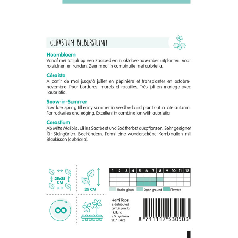 15305- Snow-in-Summer Seeds