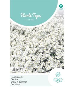 15305- Snow-in-Summer Seeds