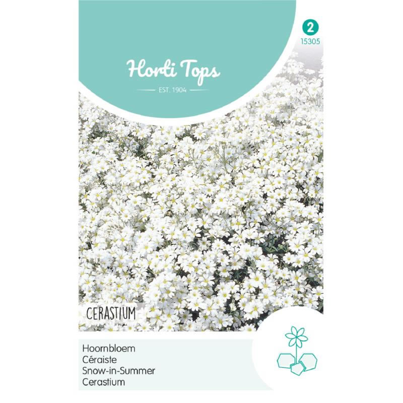 15305- Snow-in-Summer Seeds