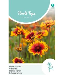 Gaillardia Aristata Mixed Seeds