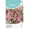 Pink Creeping Gypsophila