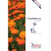 Orange Calendula Seeds