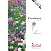 Cornflower Mixed Seeds