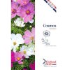 Sensation Cosmos Mixed Seeds