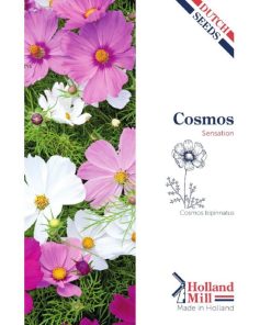 Sensation Cosmos Mixed Seeds