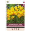 Bulbs Daffodil Jetfire