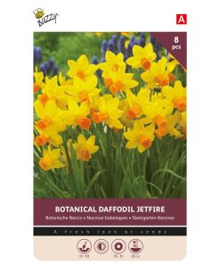 Bulbs Daffodil Jetfire