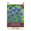 875013-Buzzy Bulbs Allium Caeruleum