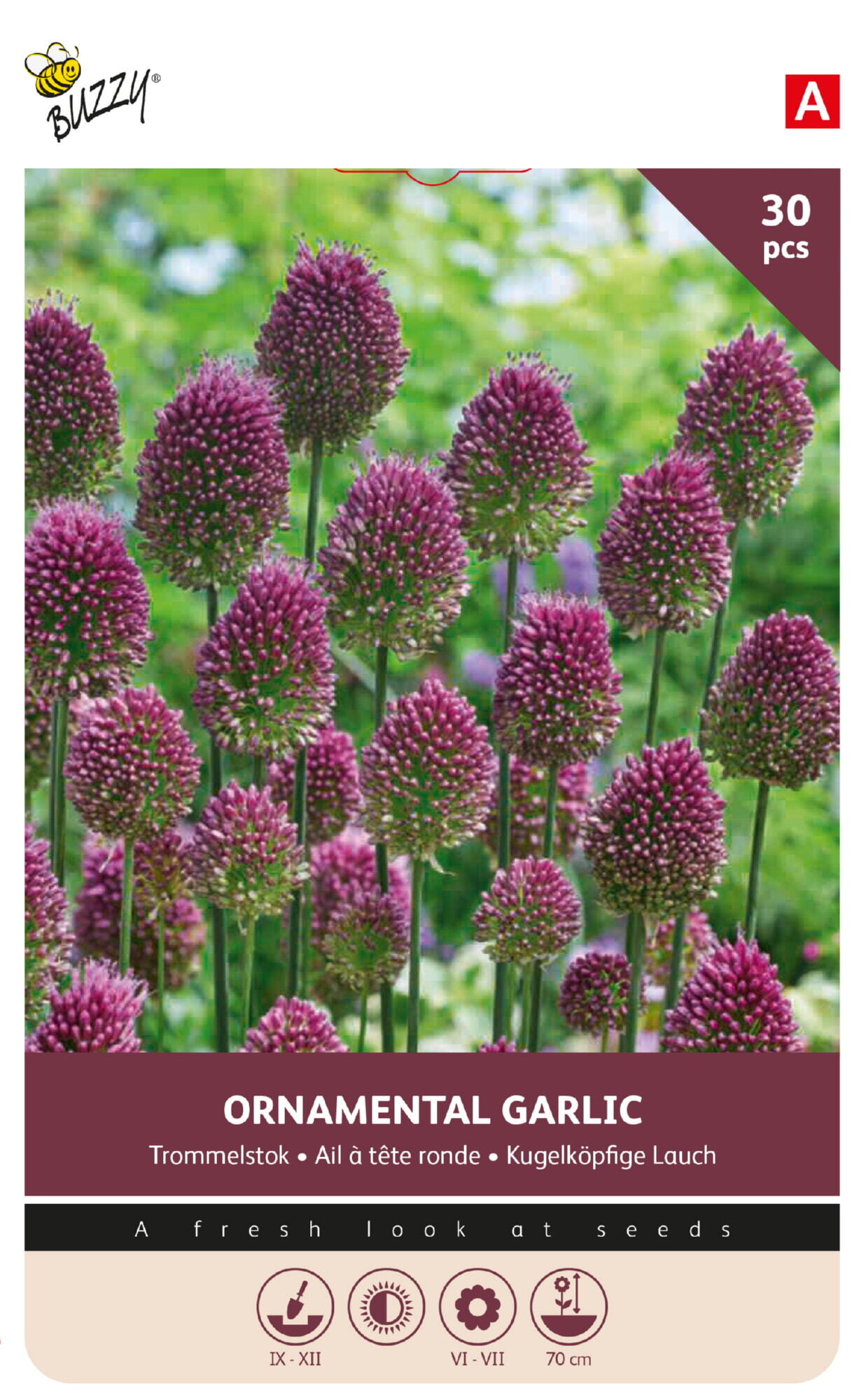 Allium Sphaerocephalum