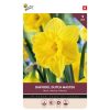 Bulbs Daffodil Dutch Master