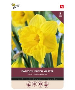 Bulbs Daffodil Dutch Master