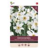 875022- Bulbs Daffodil Recurvus