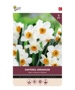 Buzzy® Bulbs Daffodil Geranium 12/14 5 pcs.