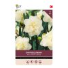 875024-Buzzy® Bulbs Daffodil Obdam