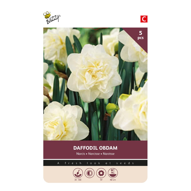 875024-Buzzy® Bulbs Daffodil Obdam