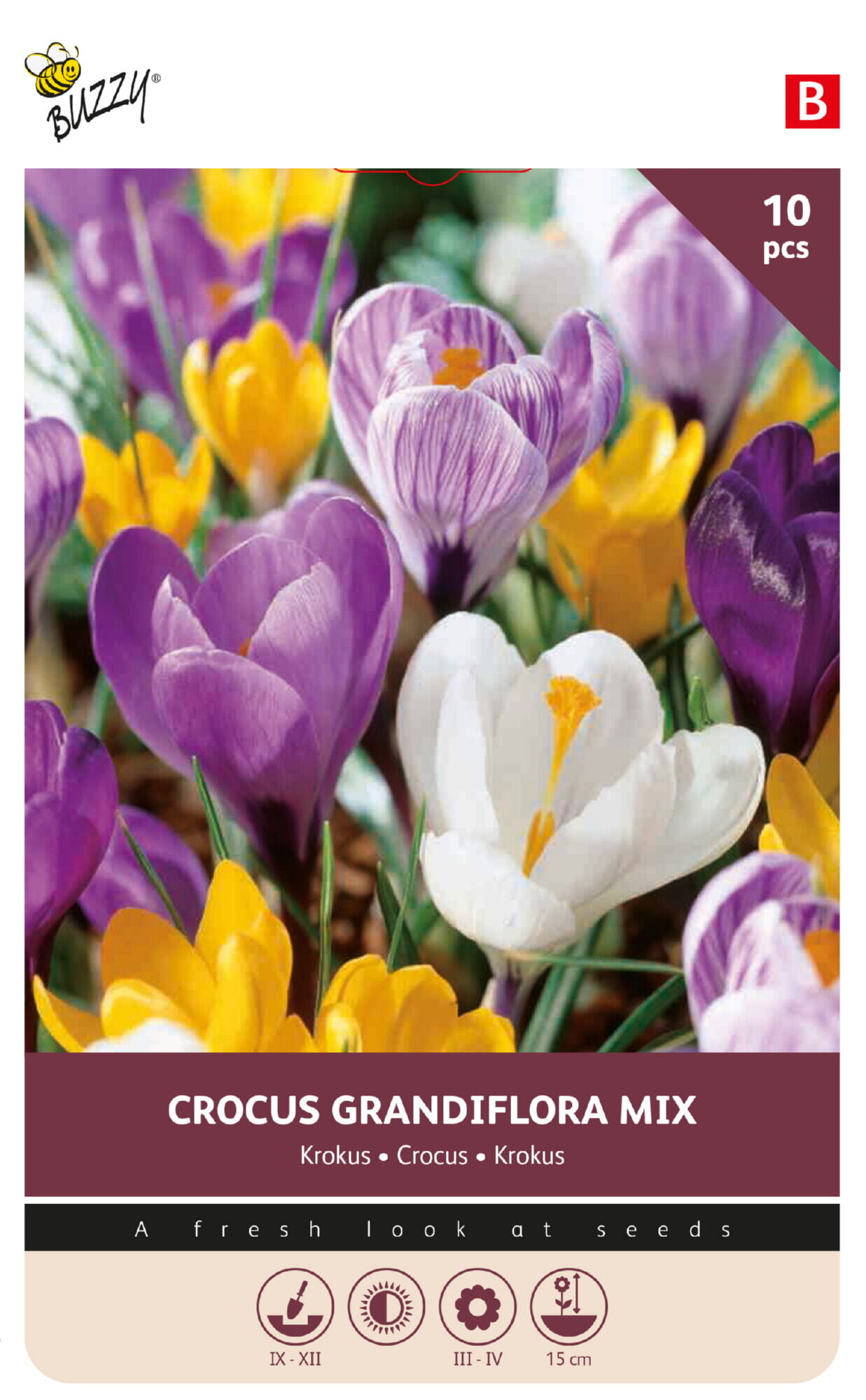 Buzzy Bulbs Crocus Grandiflora mixed 8/9 – 10 Bulbs