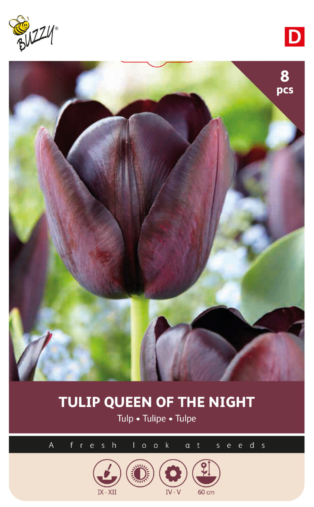 Tulip Queen of Night