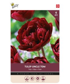 Tulip Uncle Tom