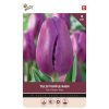 Buzzy Bulbs Tulip Purple Rain