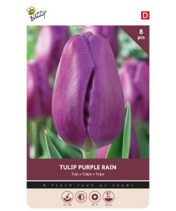 Buzzy Bulbs Tulip Purple Rain