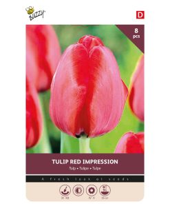 875048- Buzzyy Bulbs Tulip Red Impression
