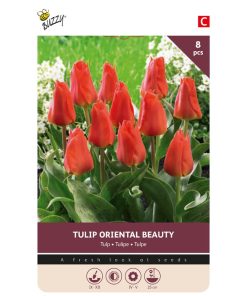 875050- Buzzy® Bulbs Tulip Oriental Beauty 11-12 8pcs.