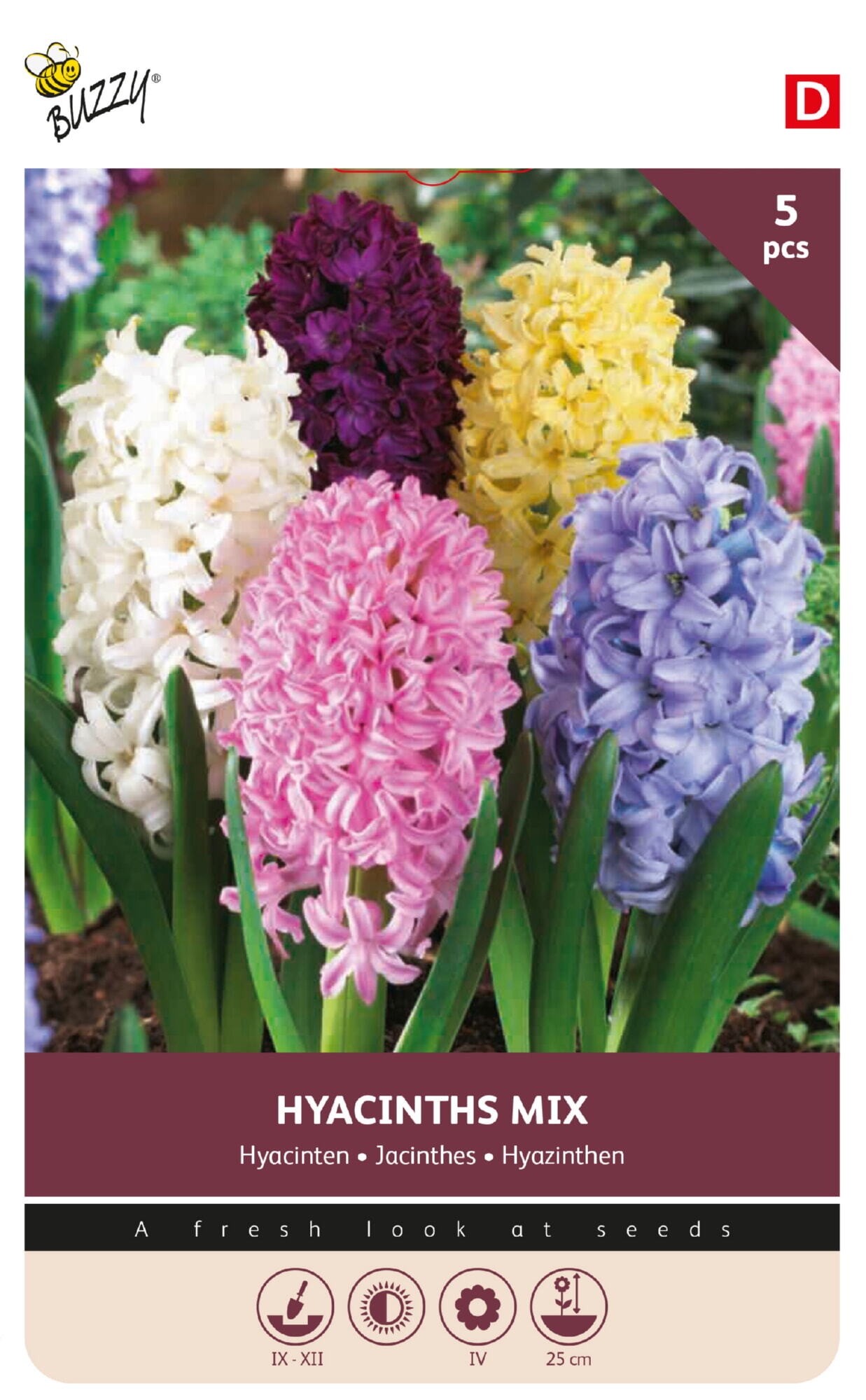 Hyacinth Orientalis