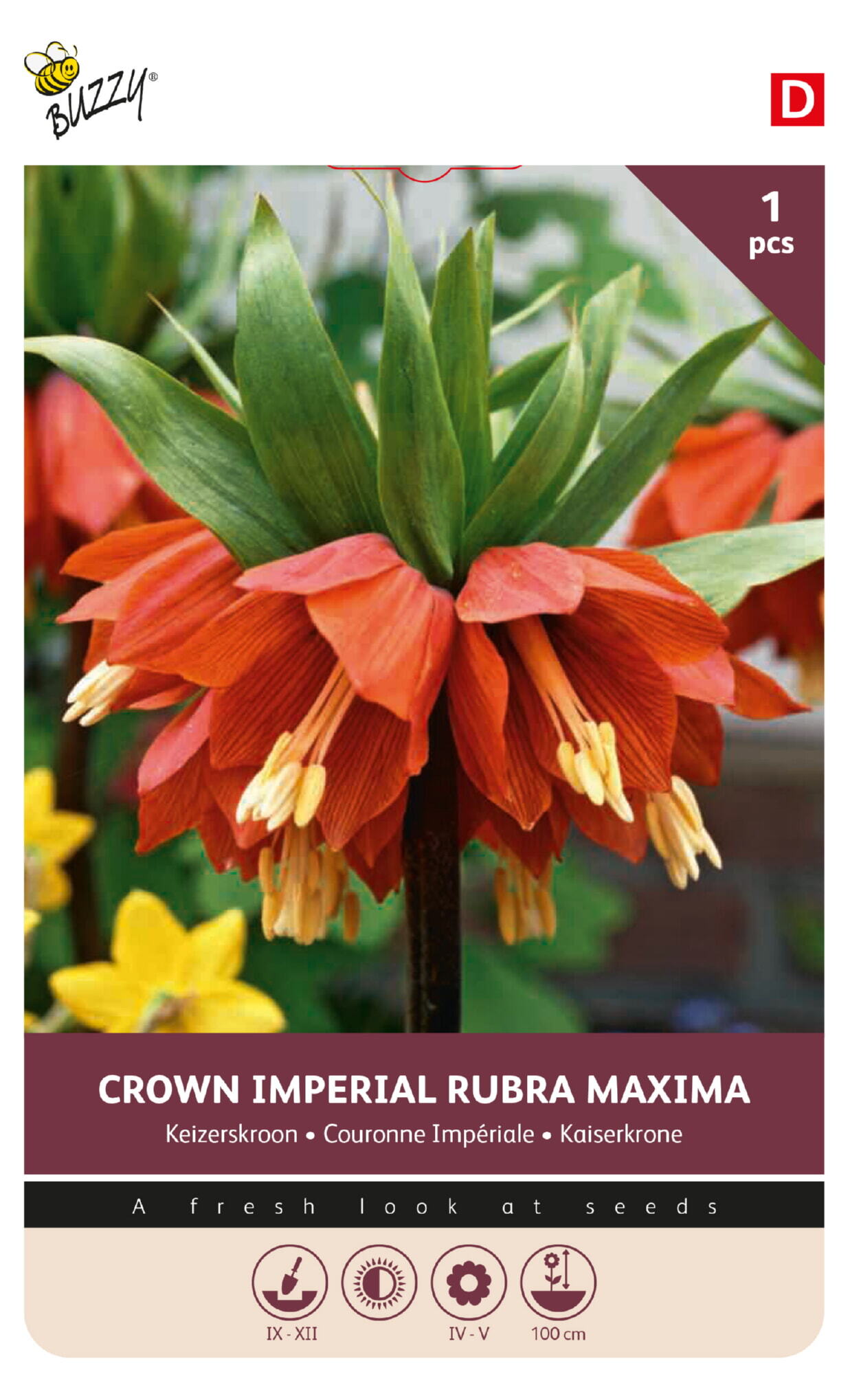 imperialis rubra