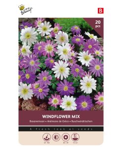 Bulbs Anemone Blanda Mixed