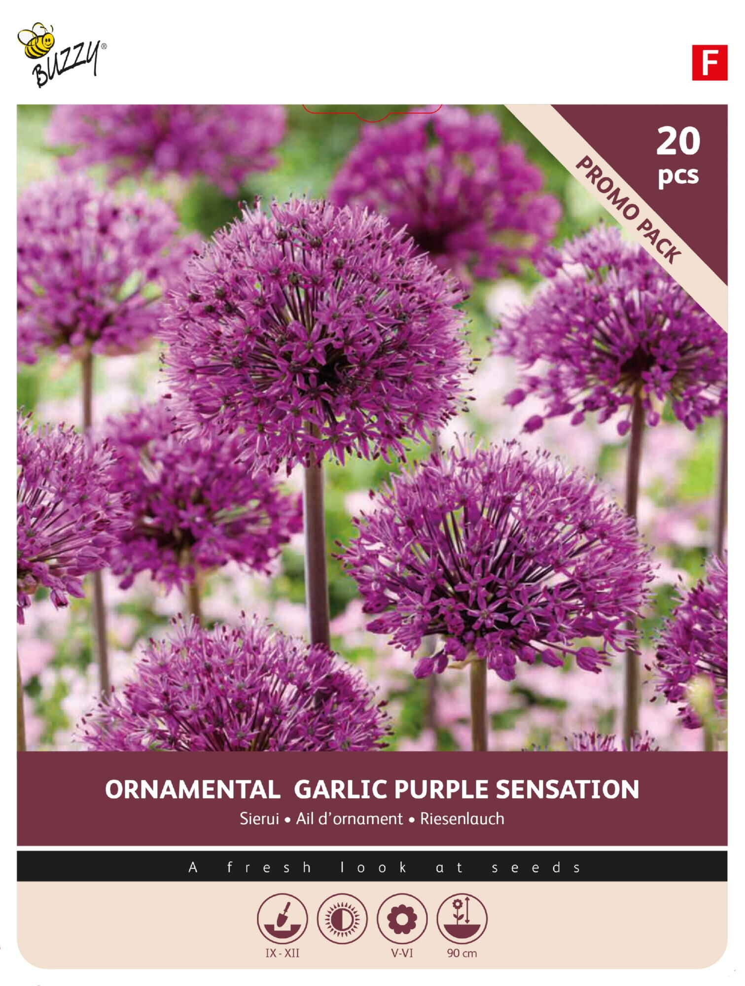 Allium Purple Sensation