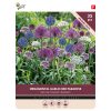 876012- Buzzy Bulbs Allium Bee paradise mix 35 pcs.
