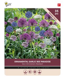 876012- Buzzy Bulbs Allium Bee paradise mix 35 pcs.