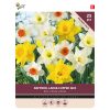 Daffodil Mixed