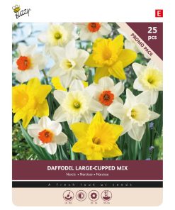 Daffodil Mixed