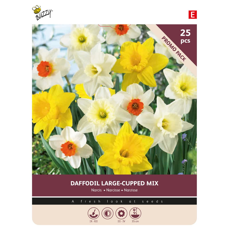 Daffodil Mixed
