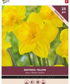 Buzzy Bulbs Large-Flowered Daffodil Yellow 10/12 – 25 Bulbs