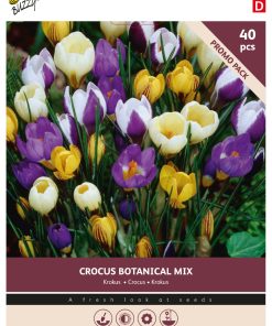 Buzzy Bulbs Crocus Botanical mixed 5/+ – 40 Bulbs