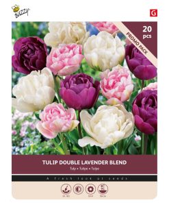876017- Buzzy® Bulbs Tulip Lavender Blend 11