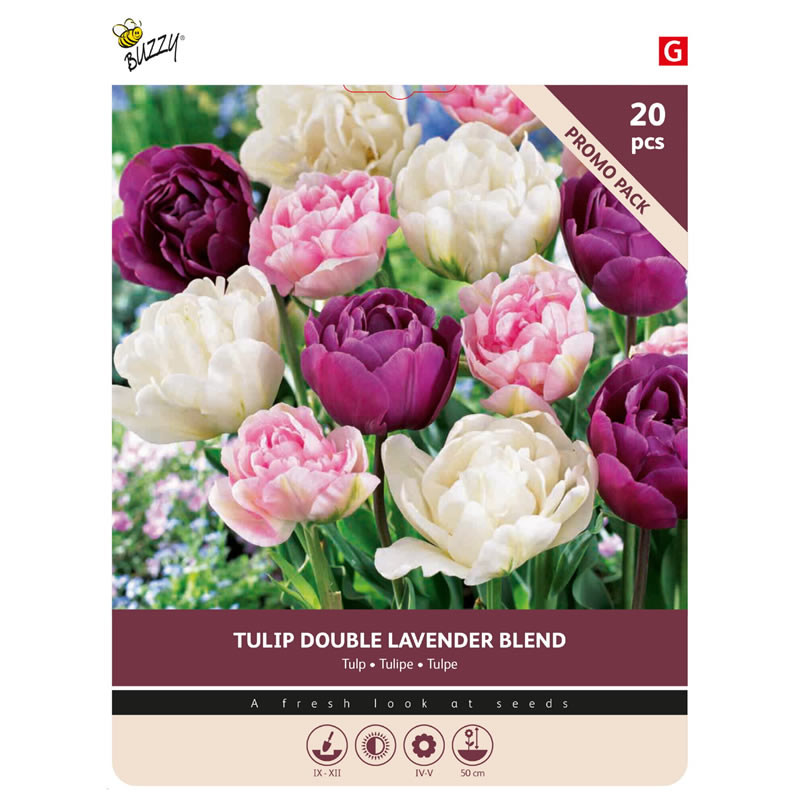 876017- Buzzy® Bulbs Tulip Lavender Blend 11