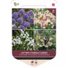 Bulb Bag Butterfly-Friendly Flowers