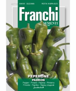 Chili Pepper Padron Seeds