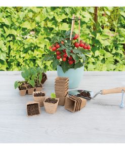 Alternative view of SOGO Biodegradable Square Seed Pots 6 cm – Pack of 10