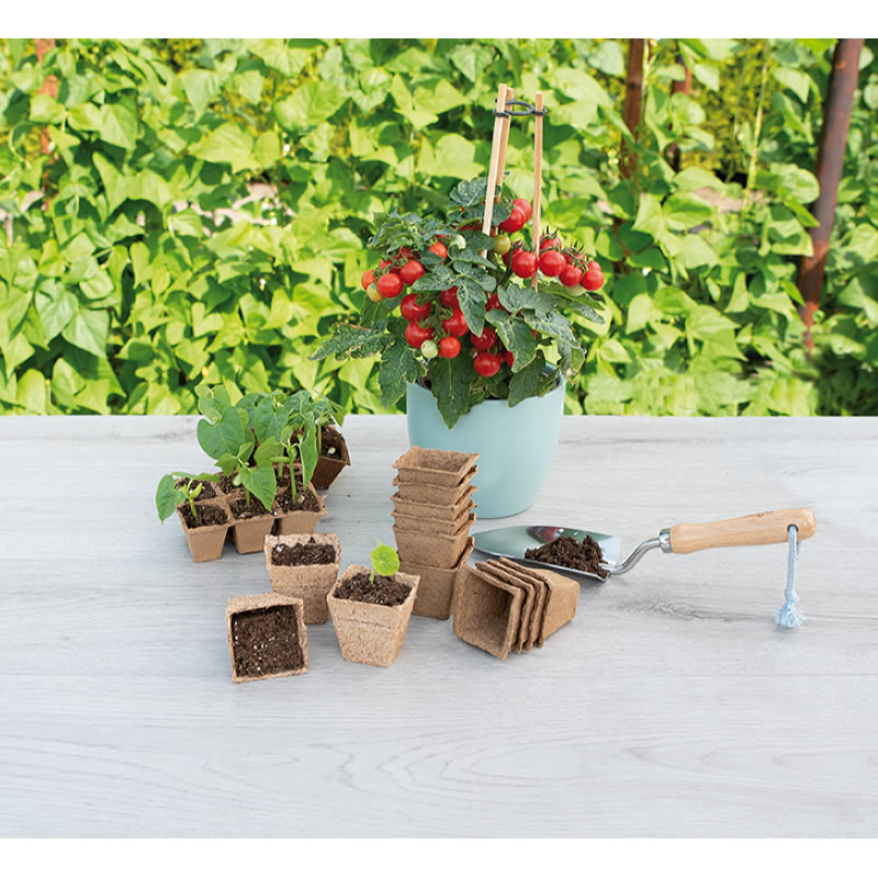 SOGO Biodegradable Square Seed Pots 6 cm – Pack of 10 - Image 2
