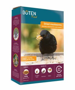 Dried Mealworms