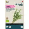 91225-Buzzy® Organic Winter Thyme (BIO)