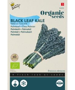 Black Leaf Kale