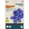 94167-Buzzy® Organic Centaurea, Cornflower Blue Ball (BIO)