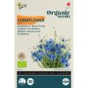 Wild Cornflower Seeds