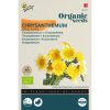 Chrysanthemum Mixed Seeds