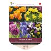 mixed flower bulbs